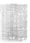 Wallington & Carshalton Herald Saturday 02 March 1889 Page 5