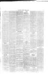 Wallington & Carshalton Herald Saturday 16 March 1889 Page 7