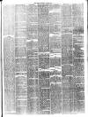 Wallington & Carshalton Herald Saturday 24 June 1893 Page 5