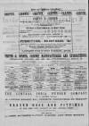 Leytonstone Express and Independent Saturday 13 April 1878 Page 2