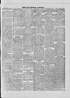 Leytonstone Express and Independent Saturday 27 April 1878 Page 3