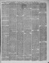 Leytonstone Express and Independent Saturday 19 April 1879 Page 3