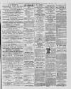 Leytonstone Express and Independent Saturday 08 May 1880 Page 3