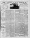 Leytonstone Express and Independent Saturday 24 July 1880 Page 7