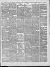 Leytonstone Express and Independent Saturday 02 September 1882 Page 3