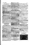 Anglo-American Times Friday 14 January 1876 Page 29