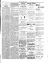 Anglo-American Times Saturday 25 May 1895 Page 3