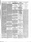 Anglo-American Times Saturday 06 July 1895 Page 3