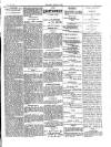 Anglo-American Times Saturday 03 August 1895 Page 3