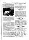 Black & White Saturday 28 February 1891 Page 9