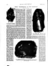 Black & White Saturday 28 February 1891 Page 28