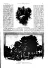 Black & White Saturday 28 February 1891 Page 31