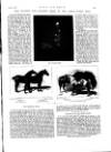 Black & White Saturday 14 March 1891 Page 26