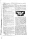 Black & White Saturday 22 August 1891 Page 21