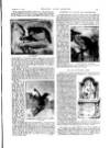 Black & White Saturday 11 February 1893 Page 23