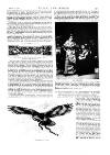Black & White Saturday 11 March 1893 Page 22