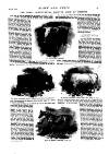 Black & White Saturday 08 July 1893 Page 9