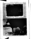 Black & White Saturday 07 April 1894 Page 14