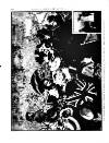 Black & White Saturday 14 April 1900 Page 40