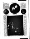 Black & White Saturday 28 January 1905 Page 8