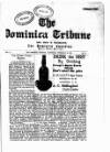 Dominica Tribune