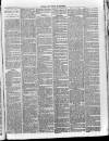 Devizes and Wilts Advertiser Thursday 27 June 1889 Page 3