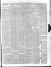 Devizes and Wilts Advertiser Thursday 03 April 1890 Page 3