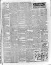 Devizes and Wilts Advertiser Thursday 04 January 1894 Page 3
