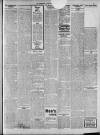 Farnworth Chronicle Saturday 18 January 1908 Page 3