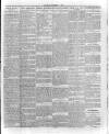 South Bank Express Saturday 01 November 1930 Page 7