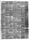 Tonbridge Free Press Saturday 05 February 1881 Page 3