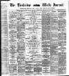 Tunbridge Wells Journal Thursday 19 June 1873 Page 1