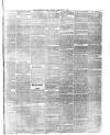 Tunbridge Wells Journal Thursday 11 February 1875 Page 3