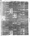 Tunbridge Wells Journal Thursday 01 July 1880 Page 3