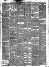 Bromley Journal and West Kent Herald Friday 03 February 1871 Page 3