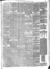 Bromley Journal and West Kent Herald Friday 08 January 1875 Page 3