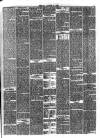 Bromley Journal and West Kent Herald Friday 02 August 1889 Page 5