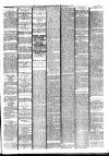 Bromley Journal and West Kent Herald Friday 25 January 1901 Page 5