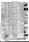 Bromley Journal and West Kent Herald Friday 25 January 1901 Page 7