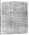 Bromley and West Kent Telegraph Saturday 30 January 1869 Page 3