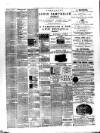 Bromley and West Kent Telegraph Saturday 14 January 1893 Page 4