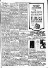 Hampstead News Thursday 07 August 1919 Page 3