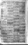 Mirror (Trinidad & Tobago) Thursday 22 May 1902 Page 20