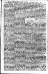 Mirror (Trinidad & Tobago) Thursday 05 June 1902 Page 25