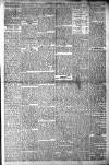 Hornsey & Finsbury Park Journal Friday 05 January 1906 Page 9