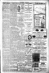 Hornsey & Finsbury Park Journal Friday 01 March 1907 Page 11