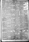 Hornsey & Finsbury Park Journal Friday 06 January 1911 Page 9
