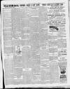 Yarmouth Gazette and North Norfolk Constitutionalist Saturday 03 February 1900 Page 7
