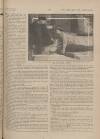 Picturegoer Saturday 14 November 1914 Page 11