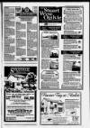 East Kilbride News Friday 17 February 1989 Page 37